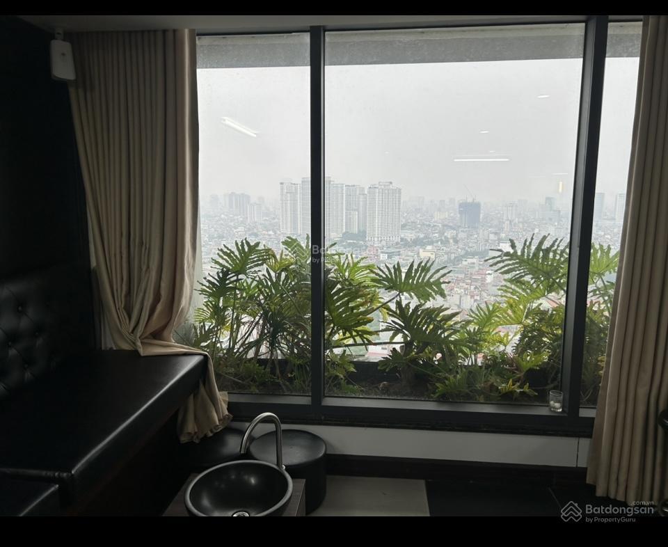 Cho thuê căn hộ chung cư riverside garden 349 vũ tông phan