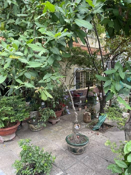 480m2 ngang khủng 14m ngay mặt tiền đường tân thuận tây thông ecogreen quận 7 2tầng gara vườn 65 tỷ