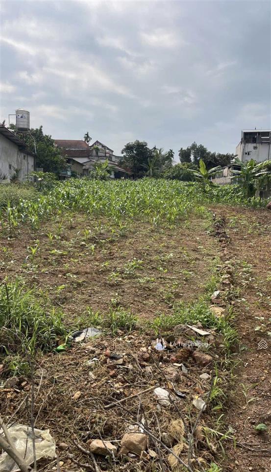 507m2, ngang to 8m, full thổ, hẻm xe hơi thông đ phú thuận, quận 7, không quy hoạch chỉ 32.99tỷ tl