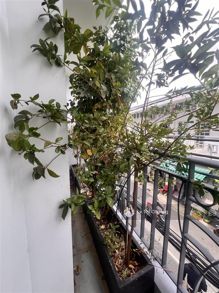Bán nhà hoàng diệu quận 4, 100m², ngang 5m, ô tô trong, 3 tầng, sát quận 1, hiện hữu 28 tỷ tl