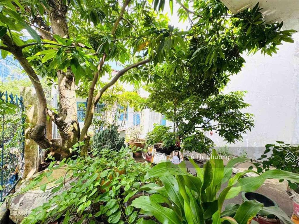 Bán gấp nhà cấp 4 quận 7, 167m² ngang khủng 10m dài 27m nở hậu 14m, sân vườn đẹp, chỉ 8 tỷ
