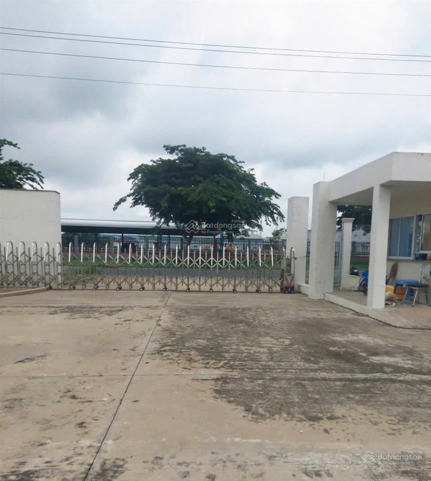 Bán hoặc cho thuê kho xưởng 6.000  10.993,6m² kcn quốc tế protrade, bến cát, bình dương