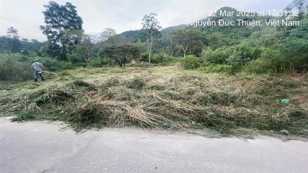 Cần bán nhanh lô đất đẹp 421m² 3 mặt tiền đường full thổ cư tiềm năng tăng giá cao