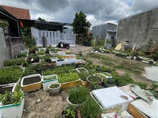 Bán đất nền đường ô tô diên khánh, khánh hòa  1 tỷ 500