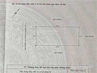 Bán lô đất xây biệt thự phường lê chân hải phòng ngang 7,25m giá 8,6 tỷ
