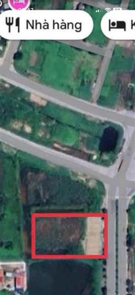 Bán 5000m2 đất tmdv giá 8,5 triệu/m2 mặt đường đặng kinh, bùi viện, hải an, hải phòng