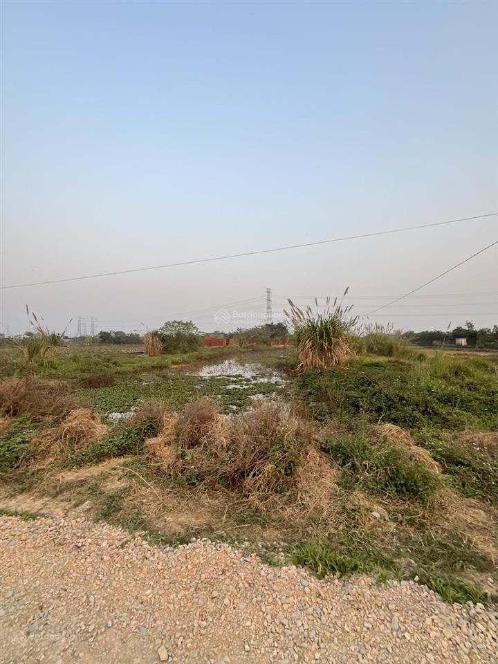 Bán đất tại đường tỉnh lộ 421b, xã cấn hữu, quốc oai, hà nội, giá 5,6 tỷ, 2.400 m2 hot!