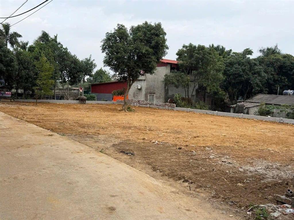Bán đất tại đường 21, cổ đông, sơn tây, 2,9 tỷ, 100m2, view đẹp, hot!