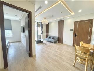 Cho thuê căn hộ 43 m2 , 1 pn , 1 wc , đầy đủ nội thất giá 13tr/th,  0906 549 *** sơn