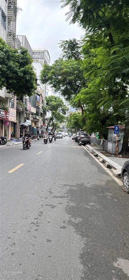 Bán nhà phố thuỵ khuê, dt44m, 7 tầng thang máy, gần ô tô, gần phố.