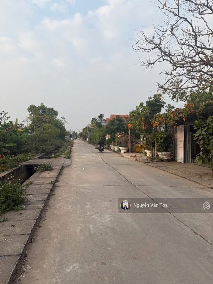 Bán 173m trục phong hải đường mở 30m thông vin cách dự án 400m khu phố 7 hà an