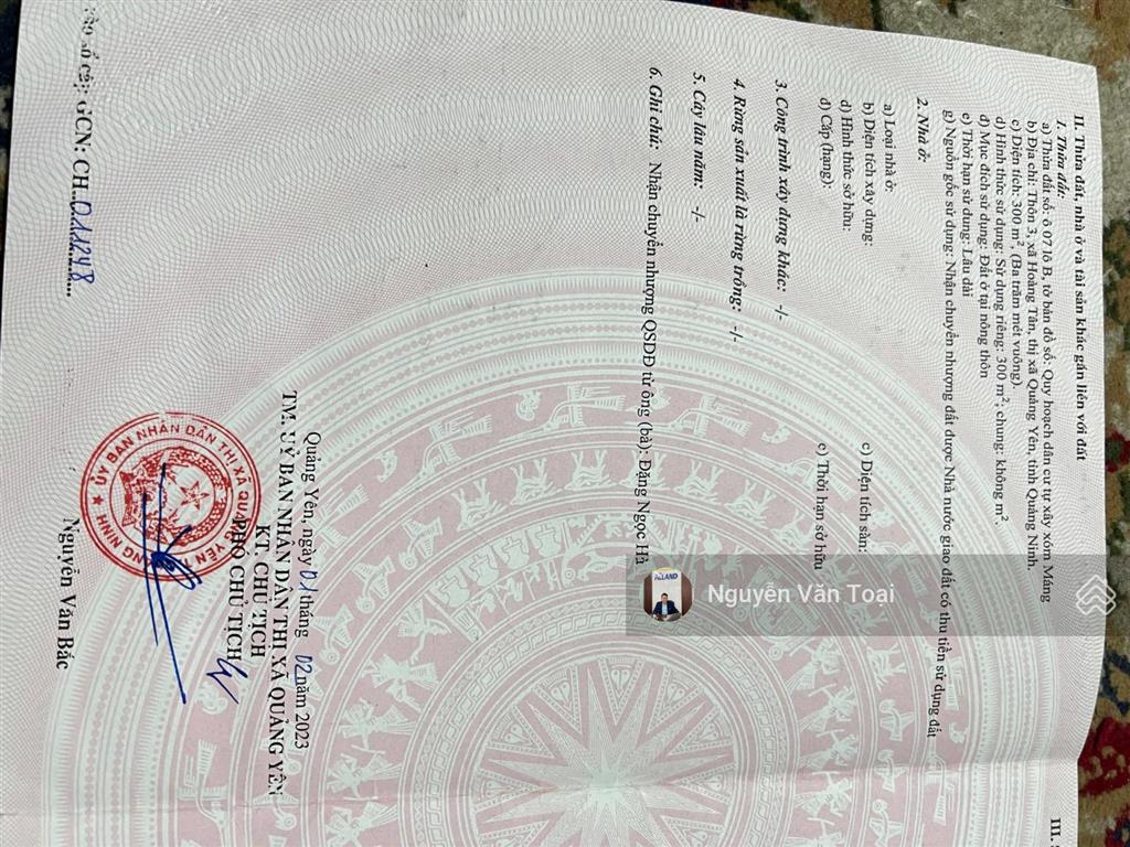 Bán đất quy hoạch cành trẽ hoàng tân đối diện vinhomes