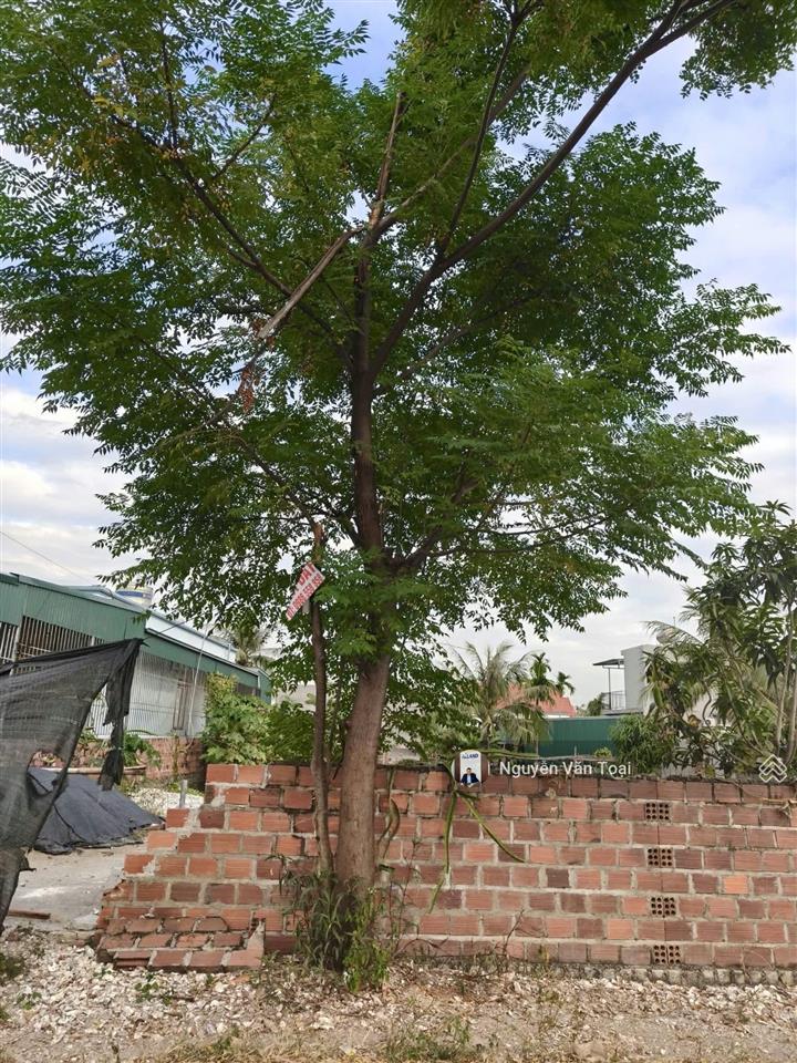 Trục chính đường phong hải khu phố 7 hà an 179m2 đường 30m cách vinhomes 200m