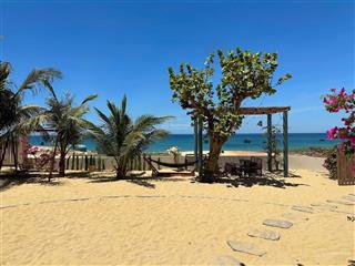 6,8 tỷ sở hữu ngay 309m2 đất mặt biển mỹ thắng đón quy hoạch vành đai ven biển bình định. sẵn sổ!