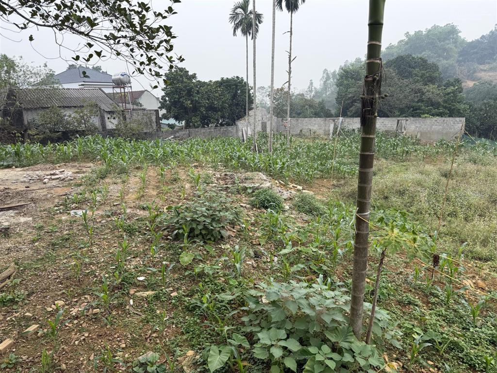 Chủ cần tiền bán đất nghỉ dưỡng tại chương mỹ mà giá rẻ nhất khu vực ạ