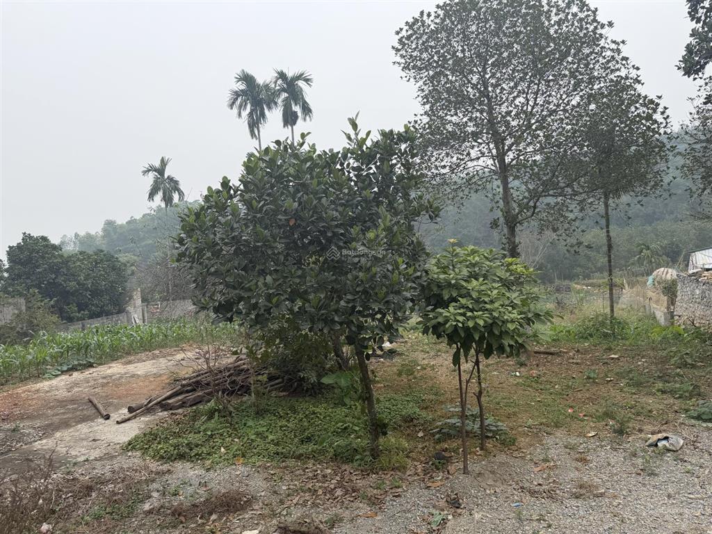 Chủ cần tiền bán đất nghỉ dưỡng tại chương mỹ mà giá rẻ nhất khu vực ạ
