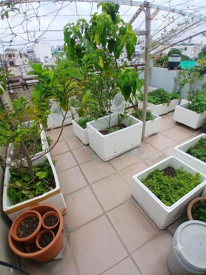 Nhà ngay khu chợ vải phú thọ hòa, tân phú 40m2, 3 lầu giá chỉ 5,5 tỷ