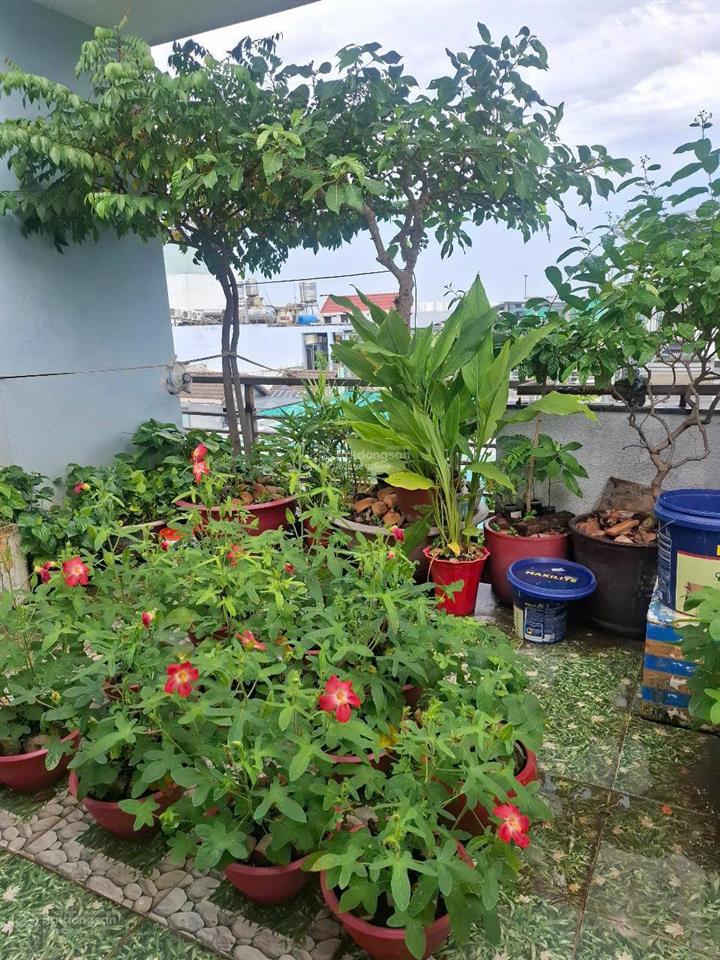 Hxh 6m đường nguyễn đức thuận, phường 13, tân bình 5 tầng giá 10,999 tỷ