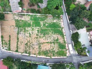 Bán đất đồng trạng, cổ đông, sơn tây, 29 triệu / m2, 118 m2, nhiều tiện ích