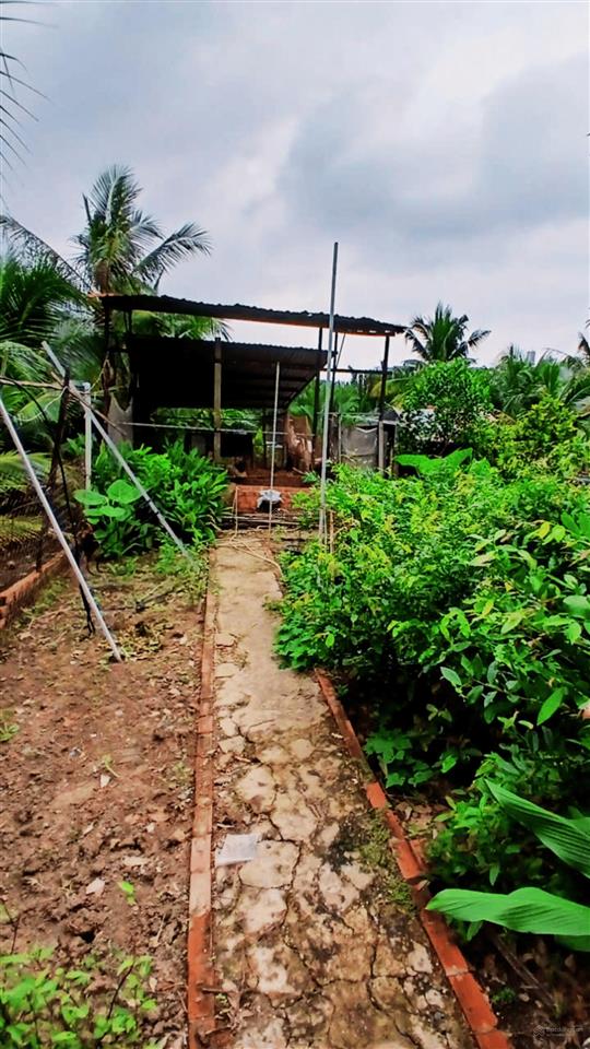 Bán gấp  nhà mặt tiền đường lê văn lương, nhà bè, tp. hcm  giá rất mềm, cần bán trước tết