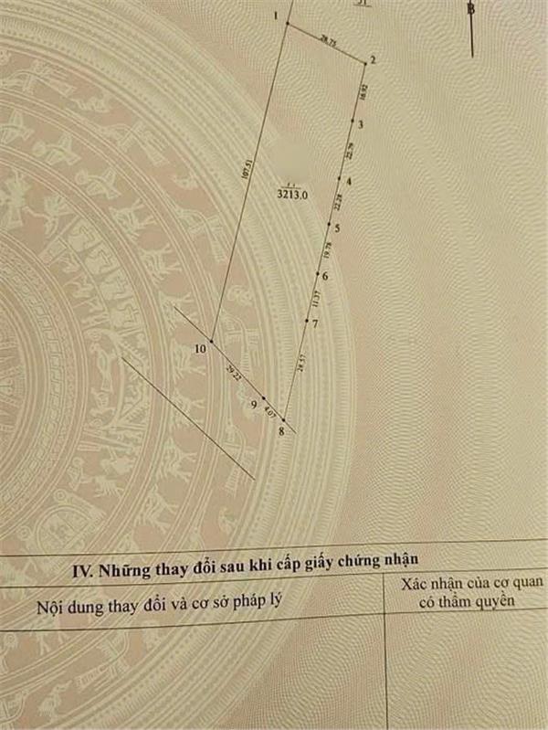 SIÊU PHẨM ĐẤT MẶT ĐƯỜNG 446 – QUỸ ĐẤT LỚN HIẾM CÓ CHO NHÀ ĐẦU TƯ