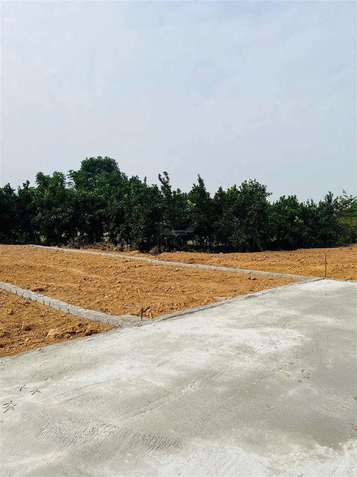 Chính chủ cần bán lô đất 150m2 ở an phú, mỹ đức
