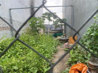 Hiếm, lô đất phú hữu. 67m2, 3.65tỷ. đường xe hơi 6m, gần nguyễn duy trinh  phú hữu