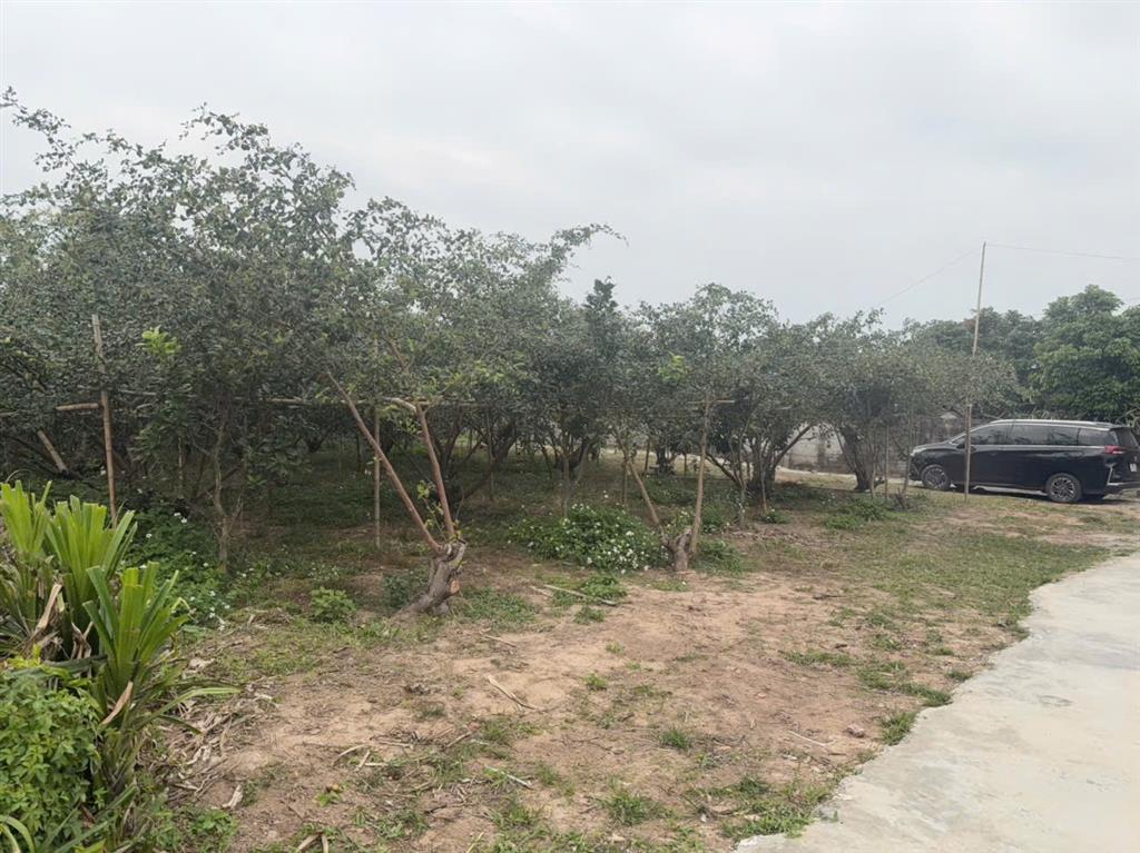 ĐẤT NỀN CHŨ BẮC NINH GIÁ 480 TRIỆU  400M2  SỔ ĐỎ RÕ RÀNG  Nguyễn Hùng BĐS - 0989333012