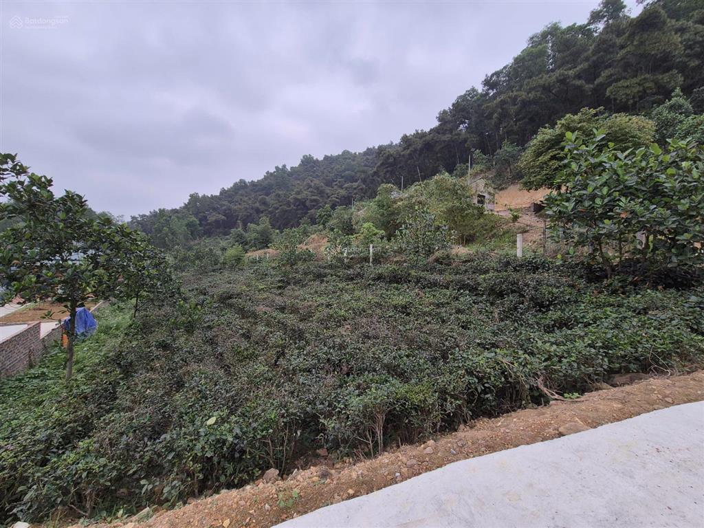 Bán gấp 1000m2 view tuyệt đẹp giá 3tr/m2