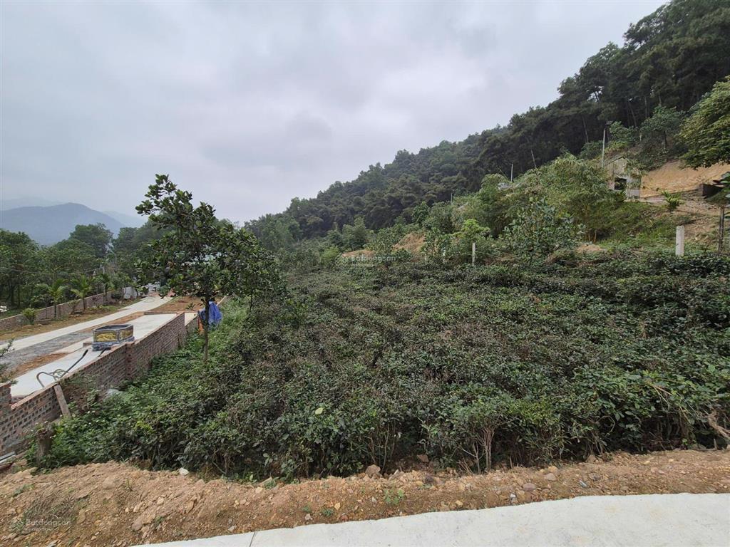 Bán gấp 1000m2 view tuyệt đẹp giá 3tr/m2