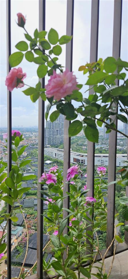 Chính chủ bán căn hộ 2pn landmark 1 ecopark 59,18m² full nội thất, có phòng xông hơi, giá 6 tỷ