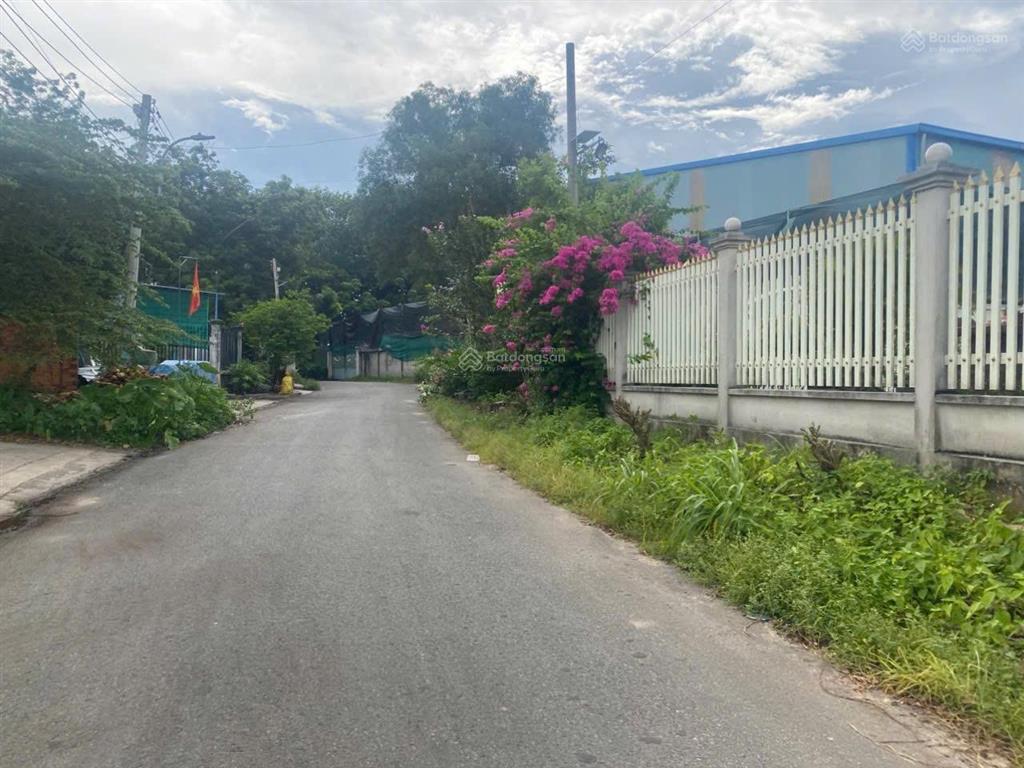 Hot đất tân định, gần mỹ phước 3, nhựa 7m thông 5x66m thổ cư 60m2