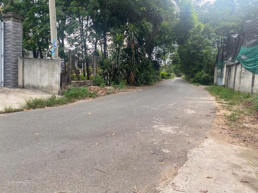 Hot đất tân định, gần mỹ phước 3, nhựa 7m thông 5x66m thổ cư 60m2