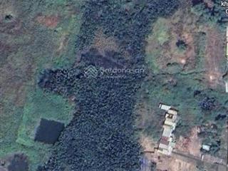Cho thuê kho xưởng huỳnh tấn phát 1.500m2