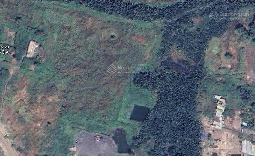 Cho thuê kho xưởng huỳnh tấn phát 1.500m2