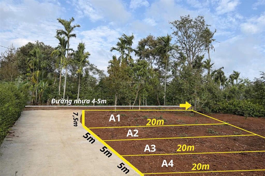 Bán đất 5x20m hẻm nguyễn thái bình, p. tân lập, cách hồ eachu cap 20m, đường ô tô, giá 825 triệu