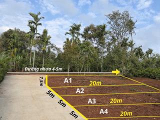 Bán đất 5x20m hẻm nguyễn thái bình, p. tân lập, cách hồ eachu cap 20m, đường ô tô, giá 825 triệu