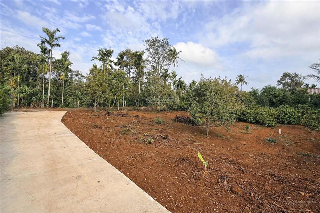 Bán đất 5x20m hẻm nguyễn thái bình, p. tân lập, cách hồ eachu cap 20m, đường ô tô, giá 825 triệu