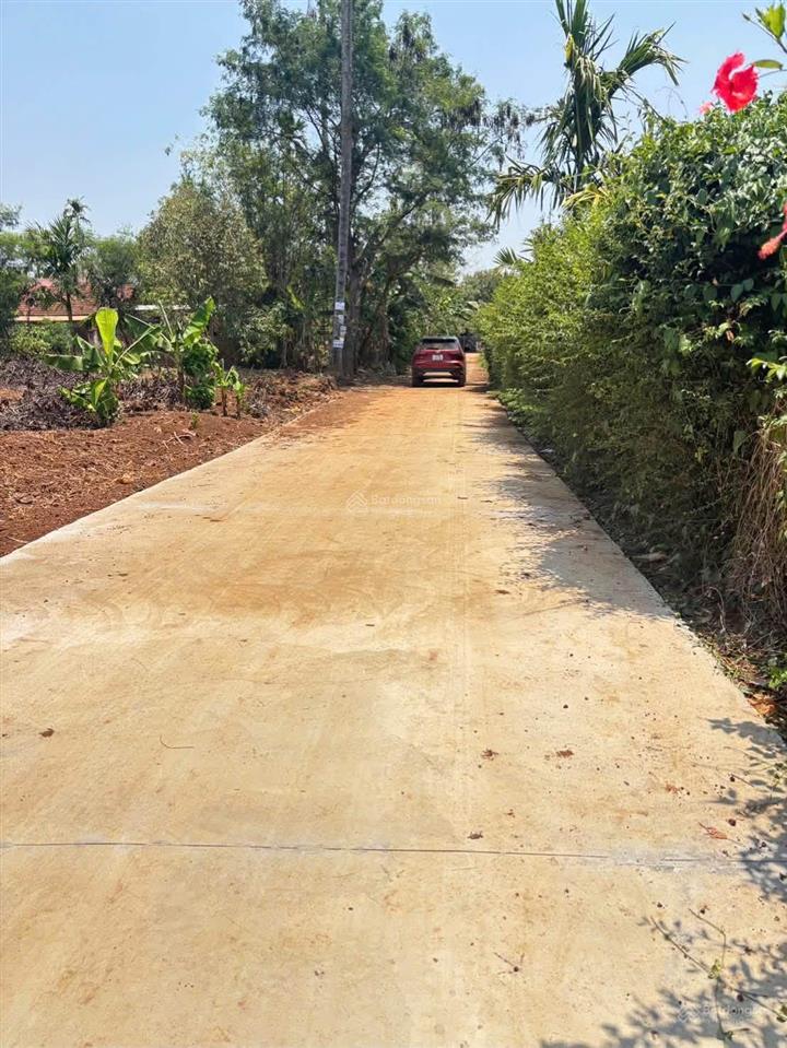 Bán đất 5x20m hẻm nguyễn thái bình, p. tân lập, cách hồ eachu cap 20m, đường ô tô, giá 825 triệu
