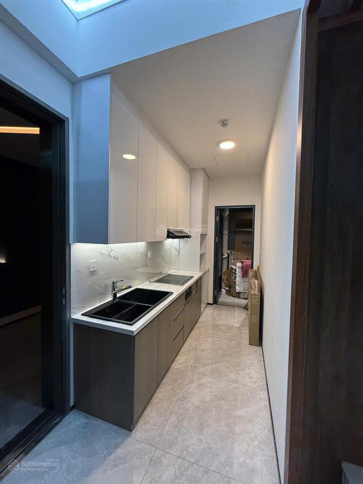 Cho thuê căn hộ the aurora 1pn, 1wc tại phú mỹ hưng, quận 7, tp hcm.