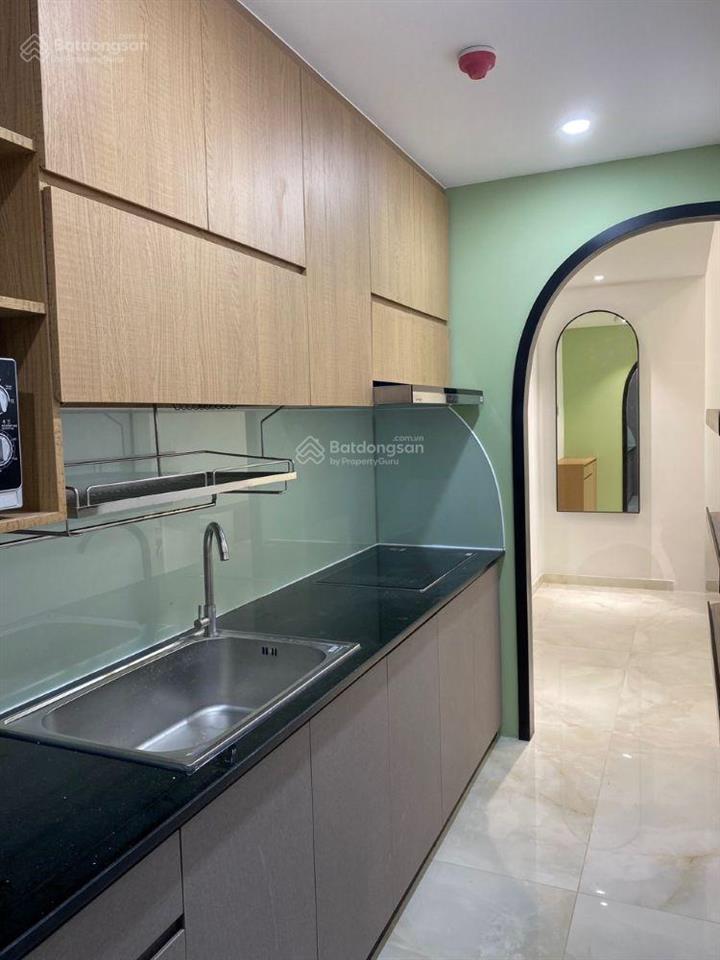 Cho thuê căn hộ the ascentia 1pn, 1wc tại phú mỹ hưng, phường tân mỹ, hồ chí minh