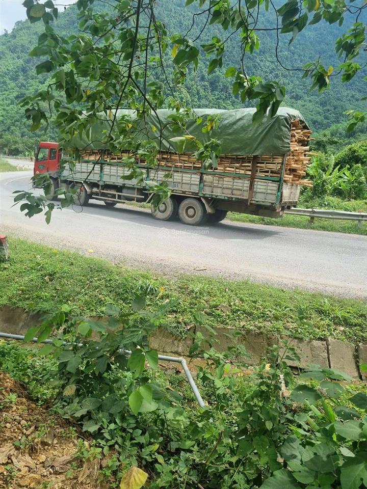 Không có người chăm sóc cần bán 6 hecta đất mặt tiền quốc lộ 26 tây ninh hoà