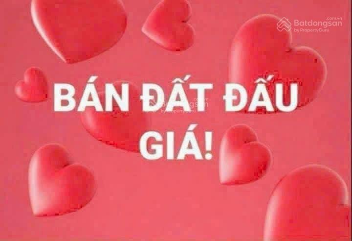 Bán đất tại đấu giá tê quả, giá thỏa thuận, 65.8m2, đất thổ cư