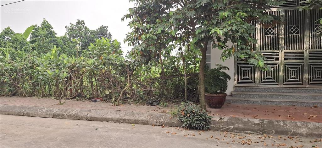 Bán đất tại đấu giá tê quả, giá thỏa thuận, 65.8m2, đất thổ cư