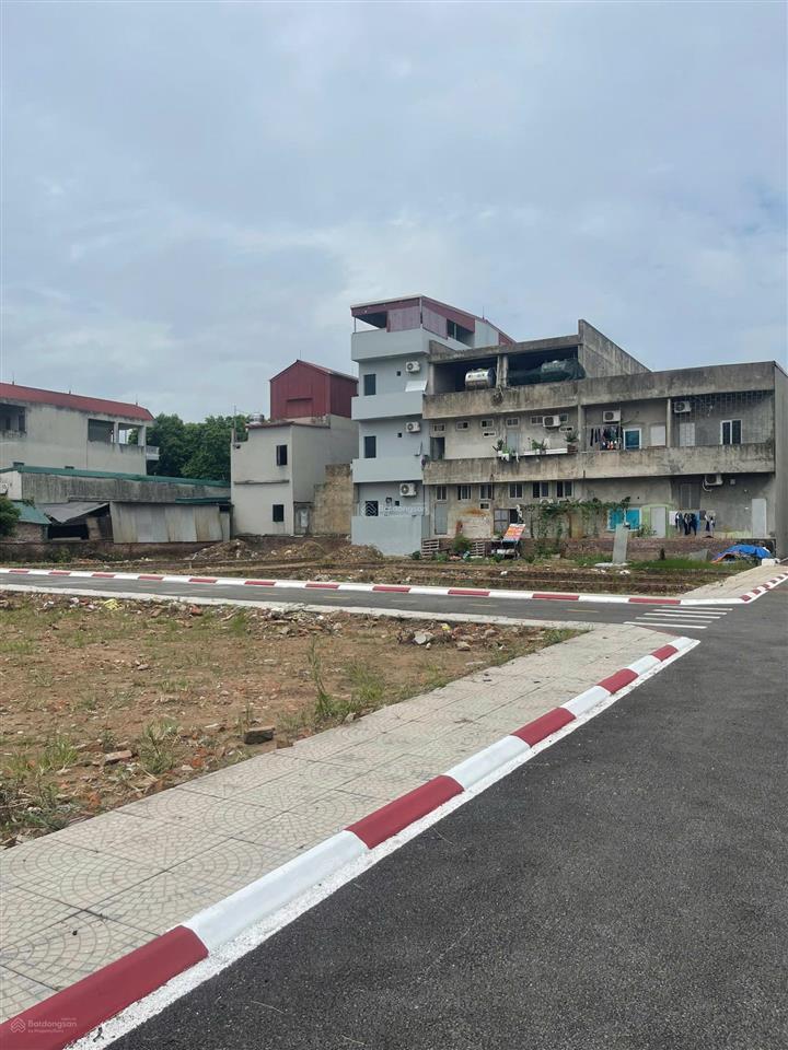 Hiếm, 316m2 đất full thổ cư vân trì, đông anh, mt 15m, xây biệt thự, phân lô, nhỉnh 100 tr/m2