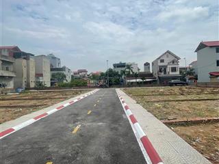 Hiếm, 316m2 đất full thổ cư vân trì, đông anh, mt 15m, xây biệt thự, phân lô, nhỉnh 100 tr/m2