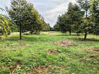 Cơ Hội Vàng Đầu Tư – Đất Mặt Tiền TP.HCM (BRVT cũ)