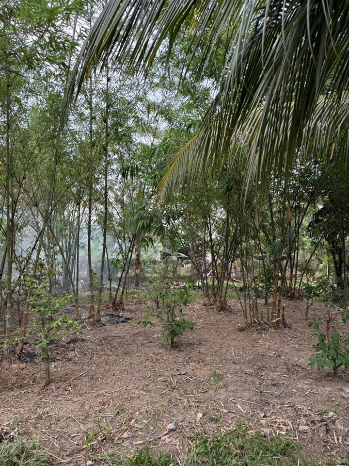 CẦN BÁN ĐẤT VƯỜN ĐẸP – PHƯỜNG HÒA THÀNH