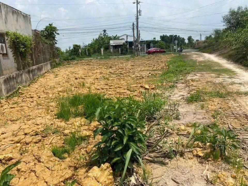 253m² Thổ Cư 100% – Bàu Công, Ấp Lập Điền, Tân Mỹ, Đức Hòa, Long An (Tây Ninh Mới)