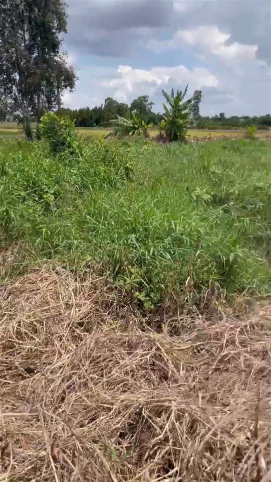 *** CHÍNH CHỦ CẦN BÁN: ĐẤT THỔ CƯ GIÁ RẺ - CHỈ 330 TRIỆU/NỀN ***